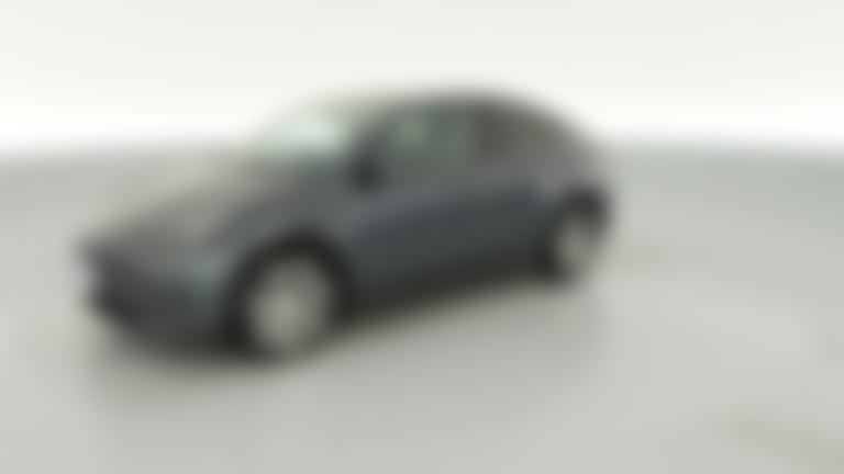 2023 Tesla Model Y vehicle photo