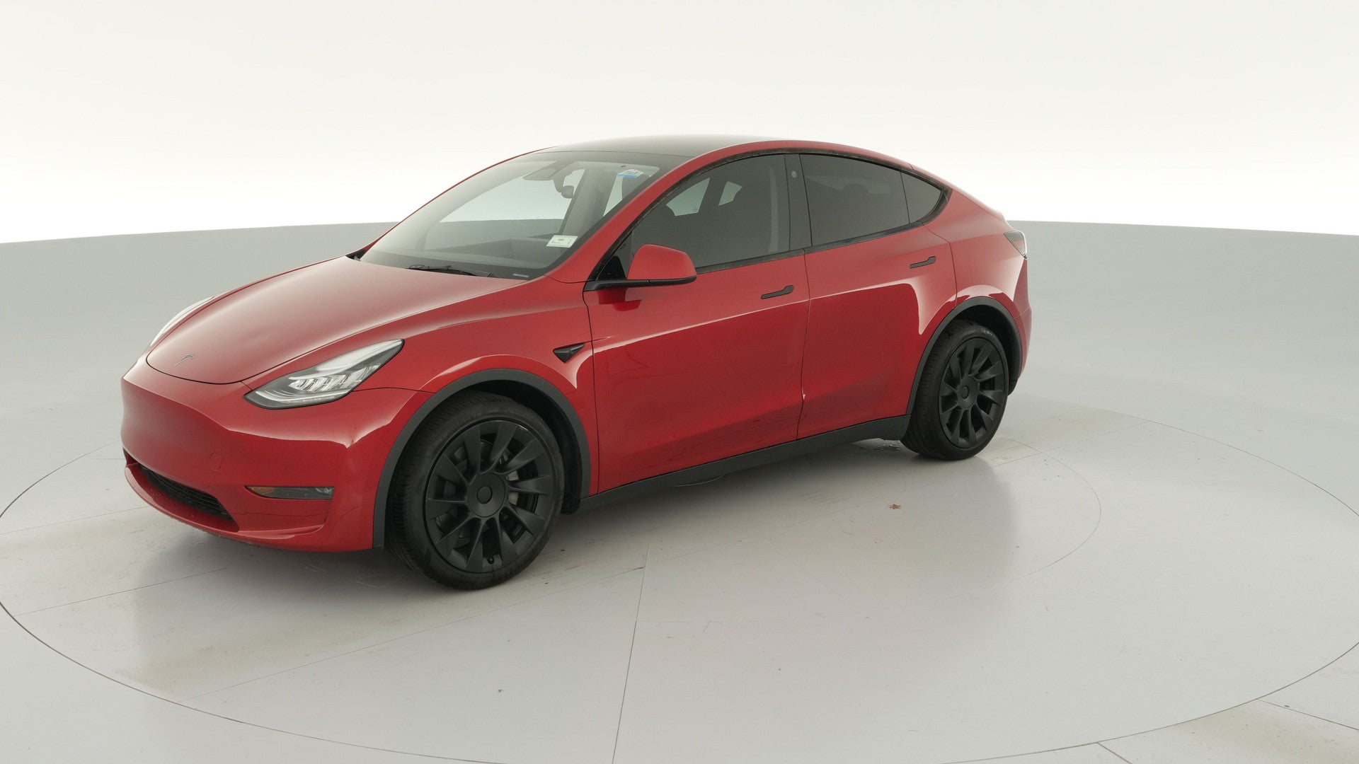 2023 Tesla Model Y vehicle photo