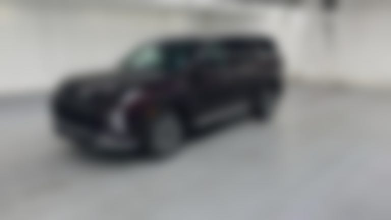 2024 Hyundai Palisade vehicle photo