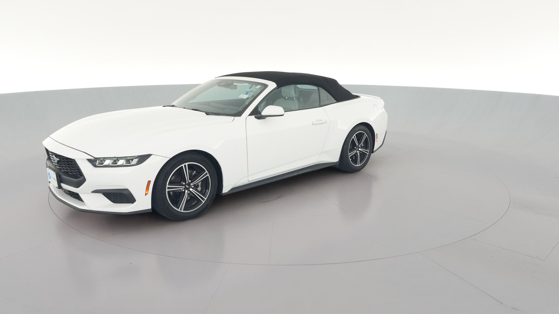 2024 Ford Mustang vehicle photo