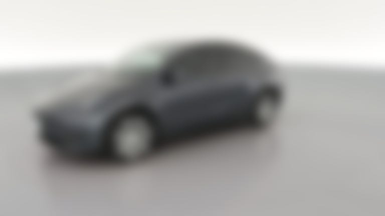 2023 Tesla Model Y vehicle photo