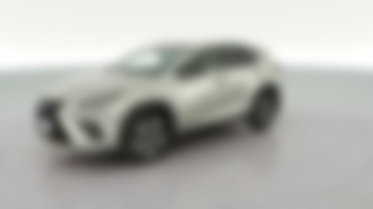 2019 Lexus NX vehicle photo