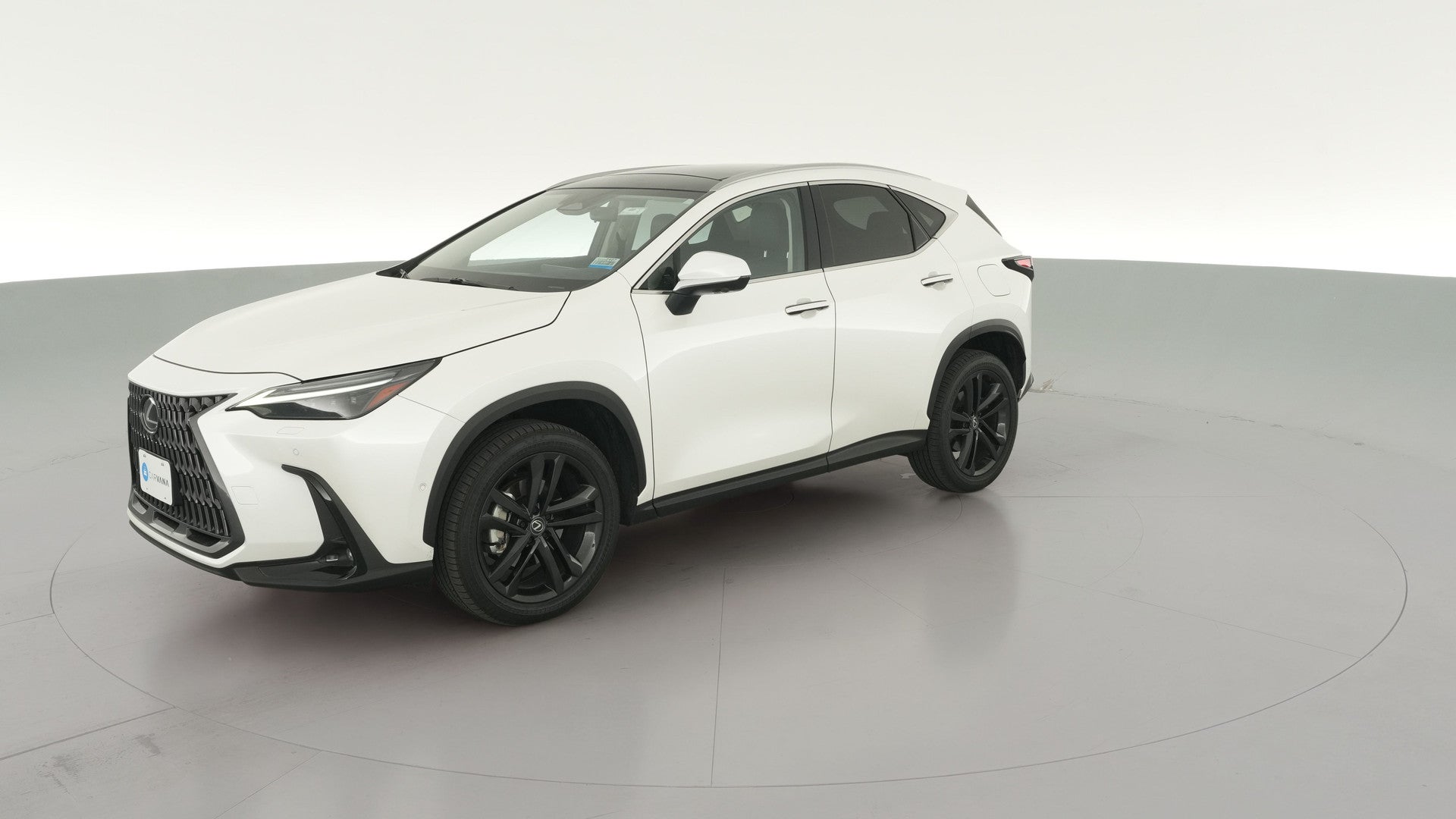 2025 Lexus NX vehicle photo