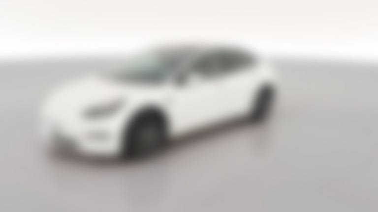 2021 Tesla Model 3 vehicle photo