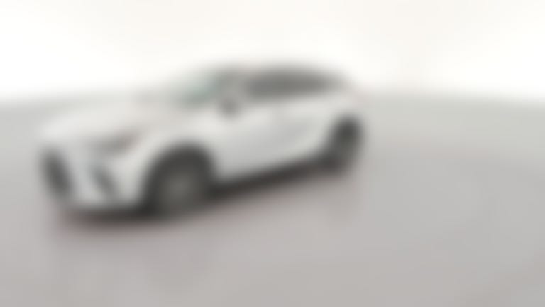 2023 Lexus RX vehicle photo