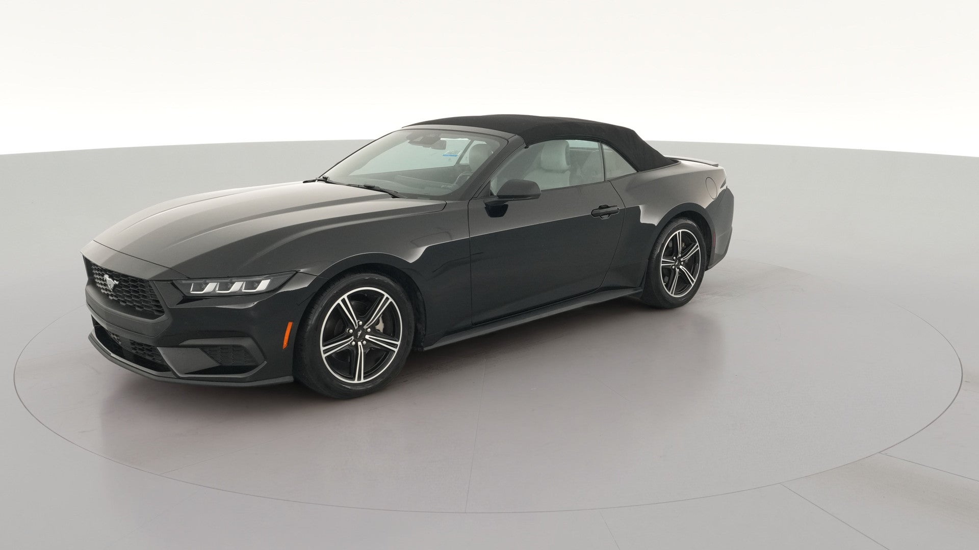 2024 Ford Mustang vehicle photo