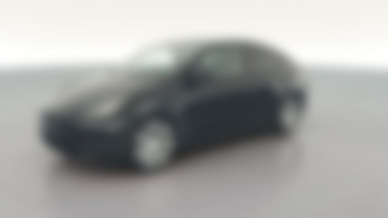 2021 Tesla Model Y vehicle photo