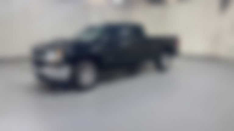 2019 Chevrolet Silverado 1500 LD Double Cab vehicle photo