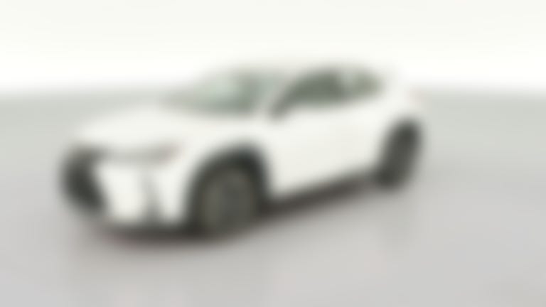 2020 Lexus UX vehicle photo