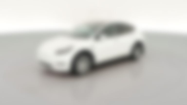 2023 Tesla Model Y vehicle photo