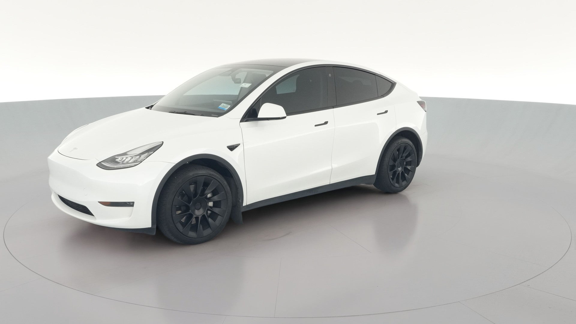 2023 Tesla Model Y vehicle photo