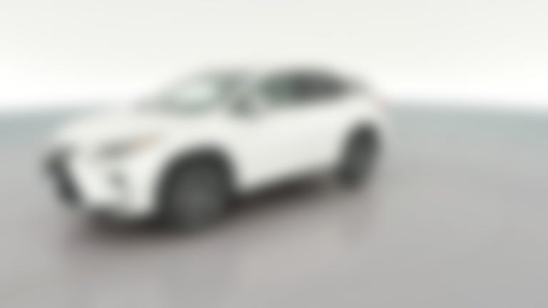 2019 Lexus RX vehicle photo