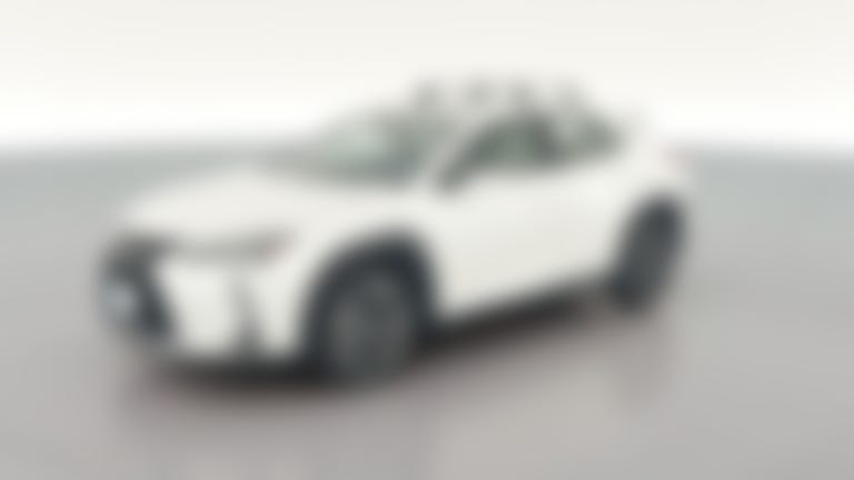 2019 Lexus UX vehicle photo