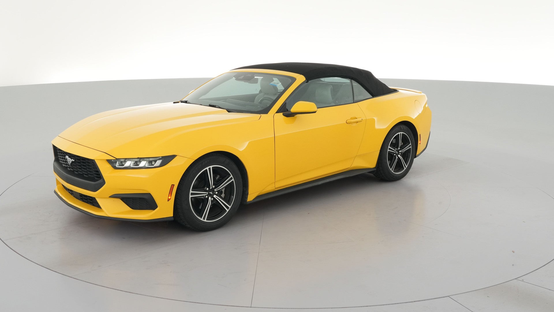 2024 Ford Mustang vehicle photo