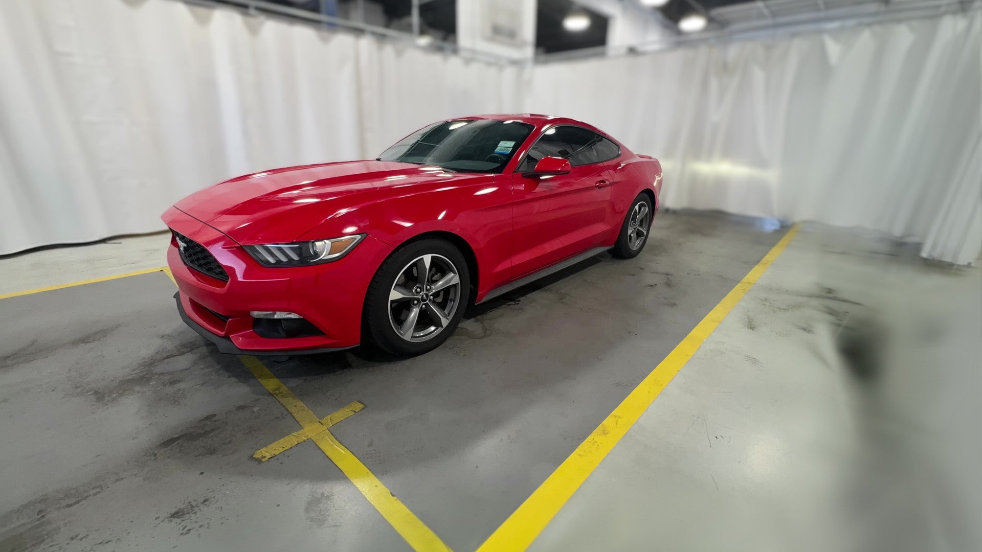 2016 Ford Mustang vehicle photo