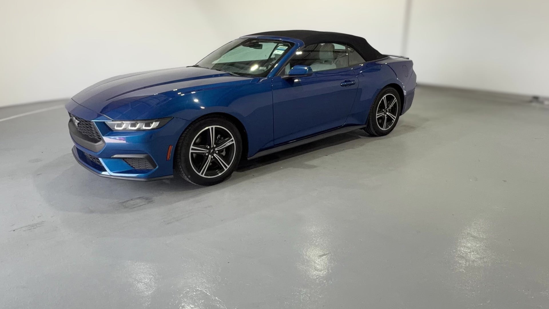 2024 Ford Mustang vehicle photo