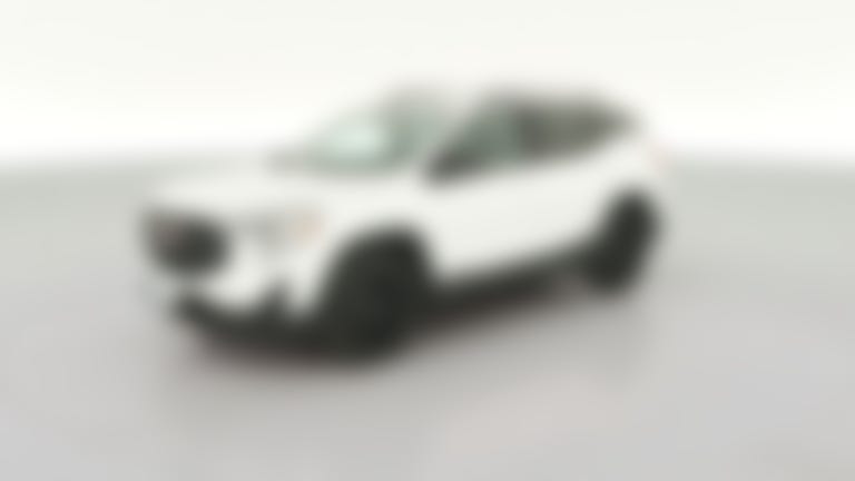 2020 GMC Terrain vehicle photo