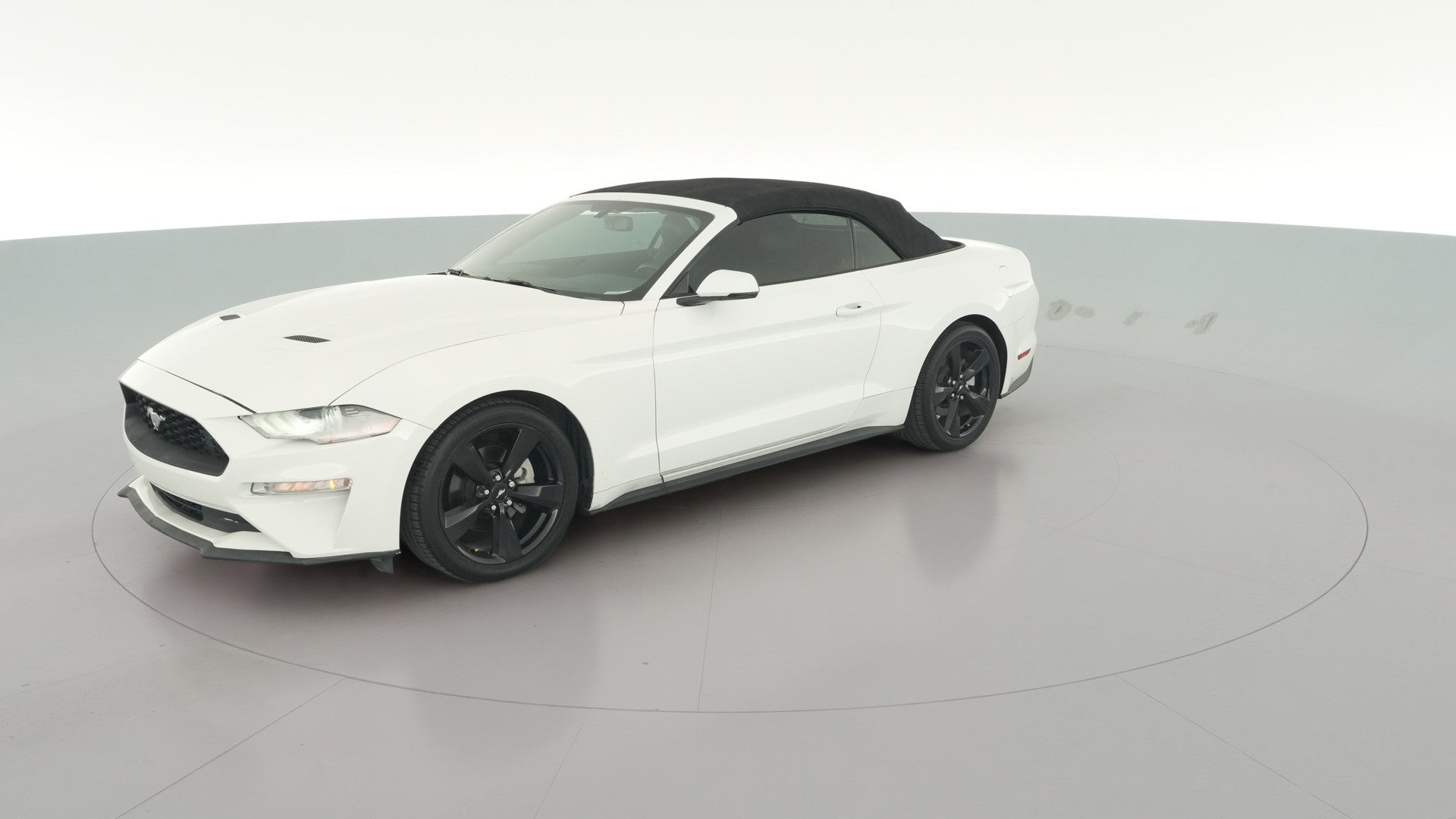 2019 Ford Mustang vehicle photo