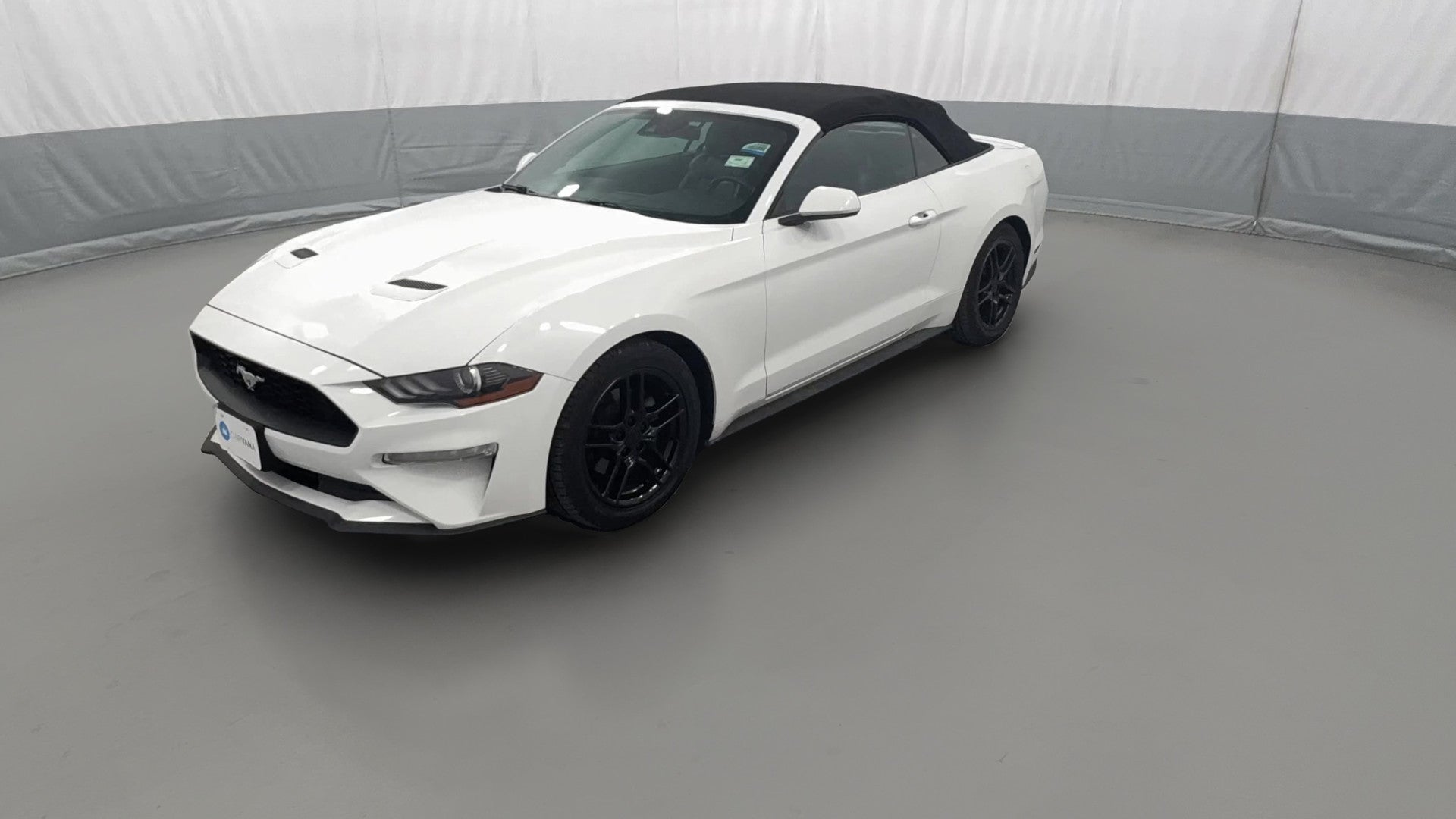 2022 Ford Mustang vehicle photo