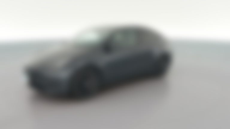 2025 Tesla Model Y vehicle photo