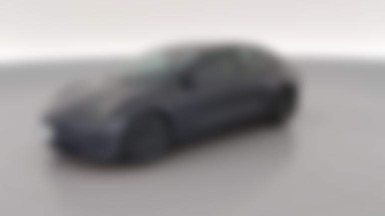 2021 Tesla Model 3 vehicle photo