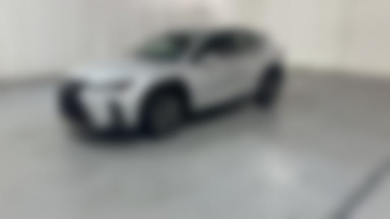 2019 Lexus UX vehicle photo