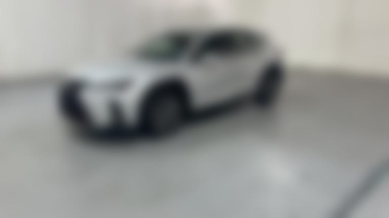 2019 Lexus UX vehicle photo