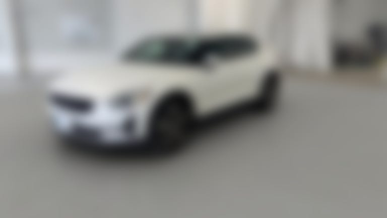 2021 Polestar 2 vehicle photo