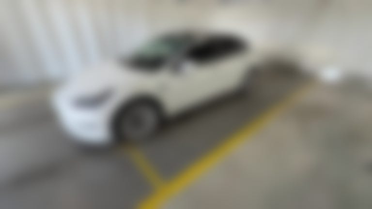2021 Tesla Model 3 vehicle photo
