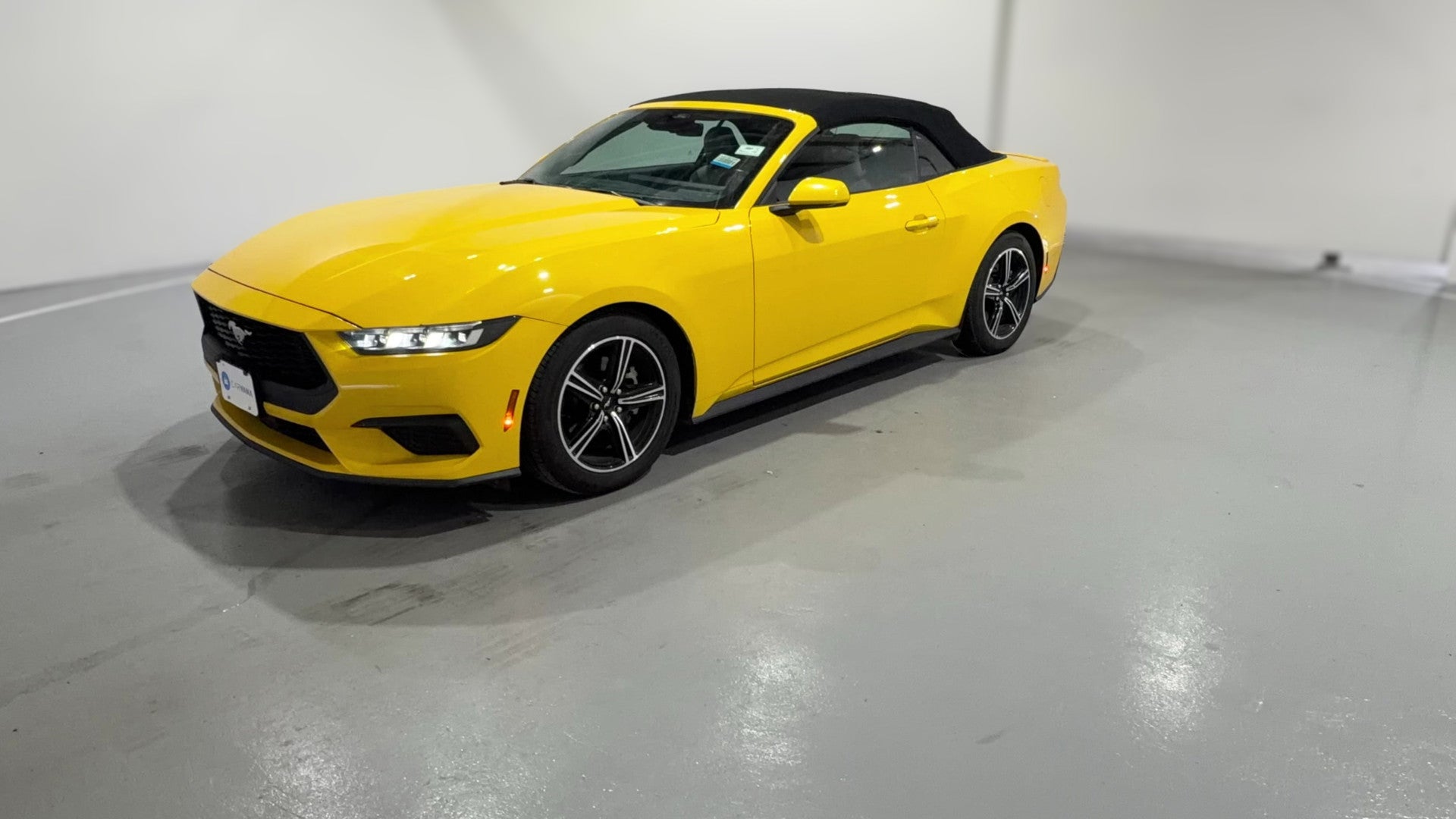 2024 Ford Mustang vehicle photo