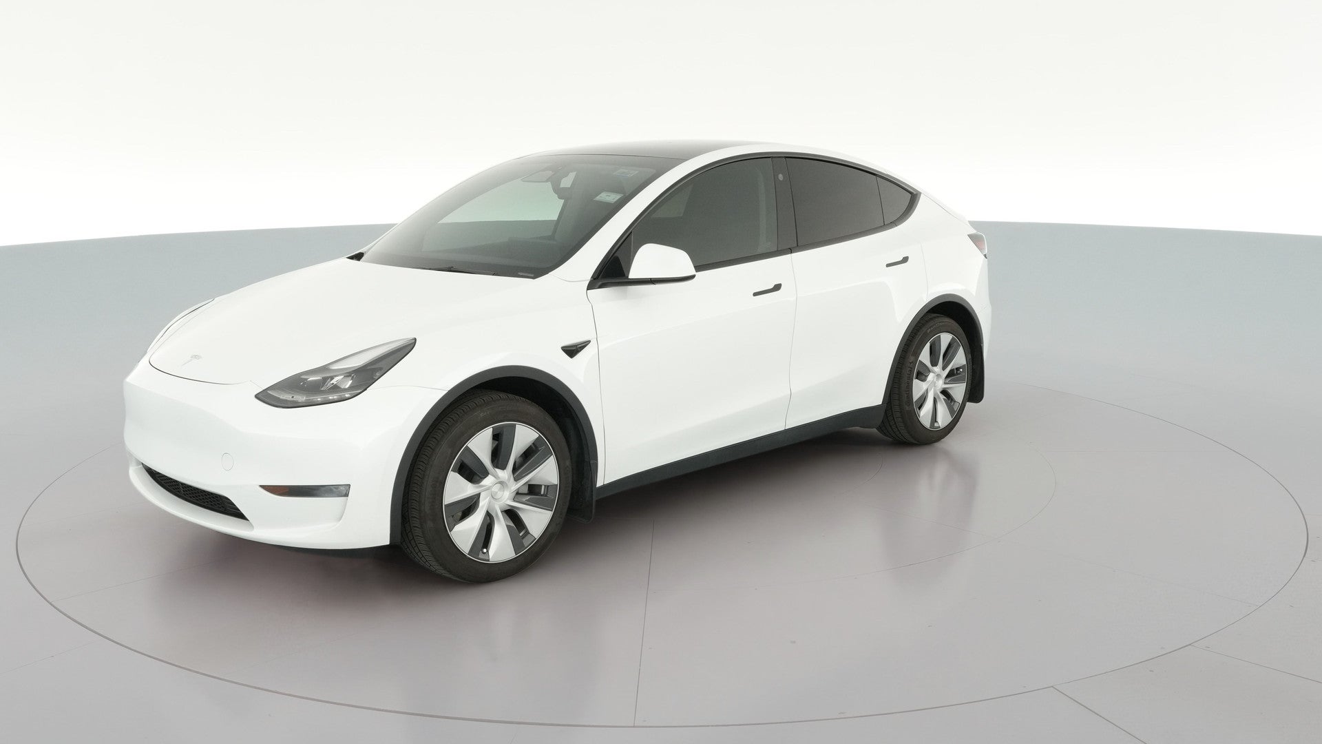 2023 Tesla Model Y vehicle photo
