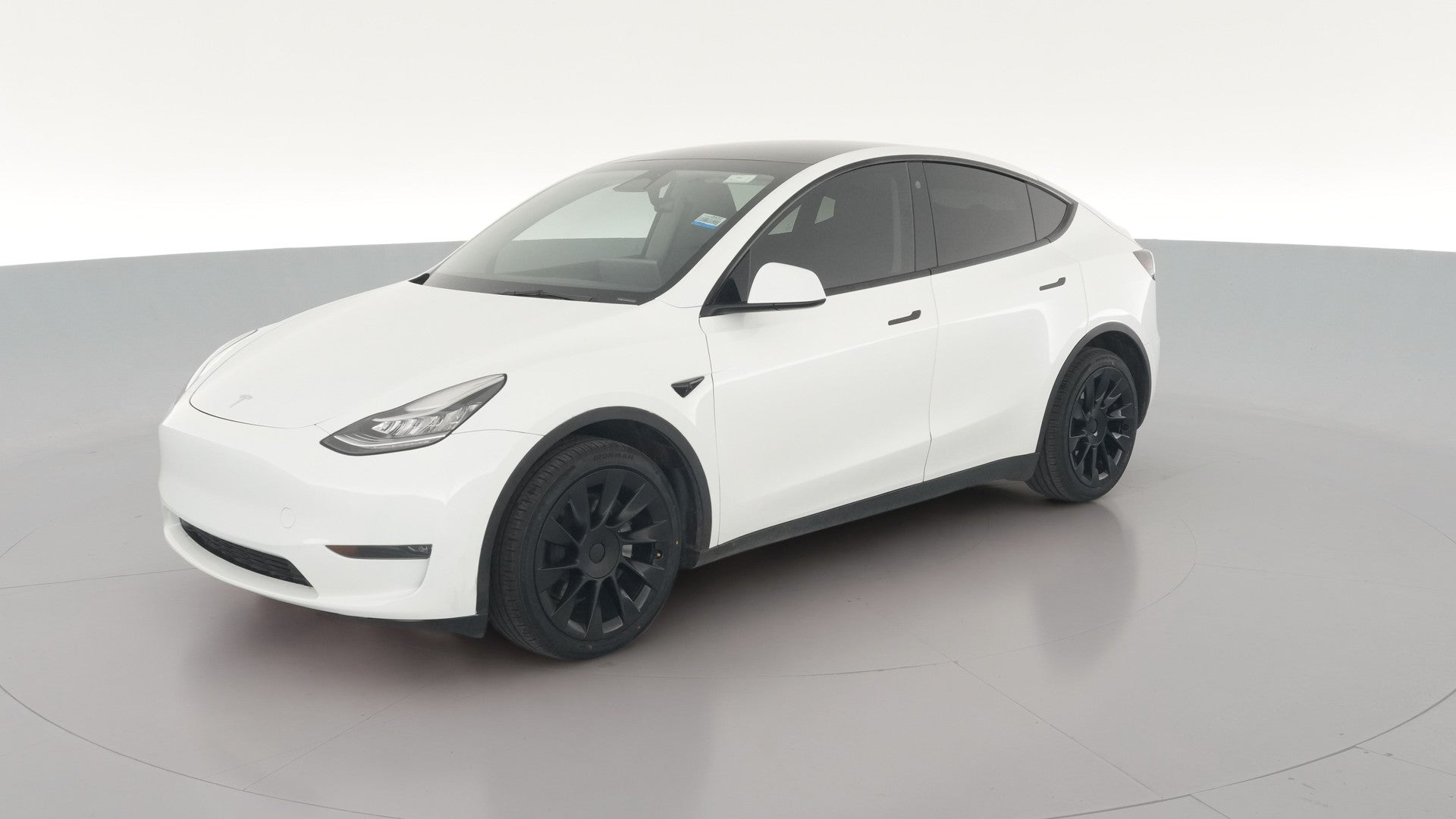 2023 Tesla Model Y vehicle photo
