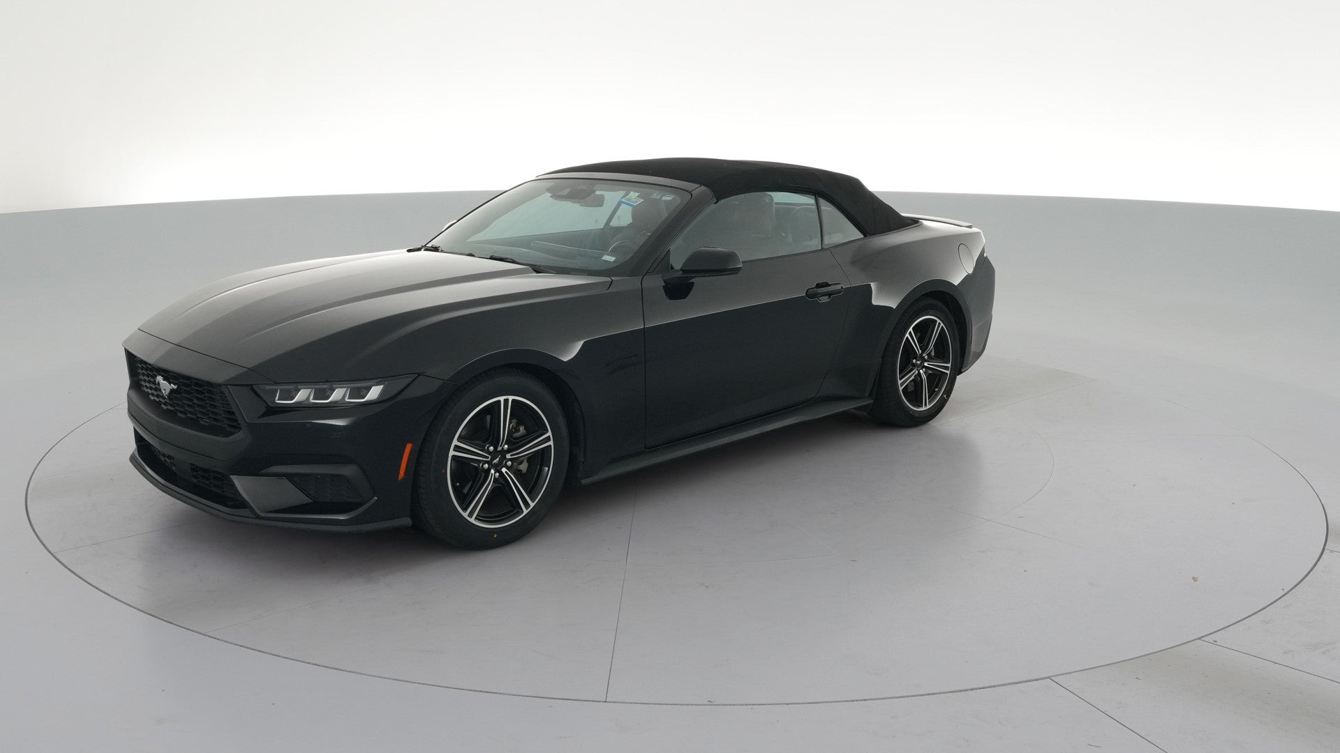 2024 Ford Mustang vehicle photo