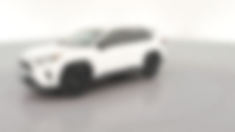2022 Toyota RAV4 vehicle photo