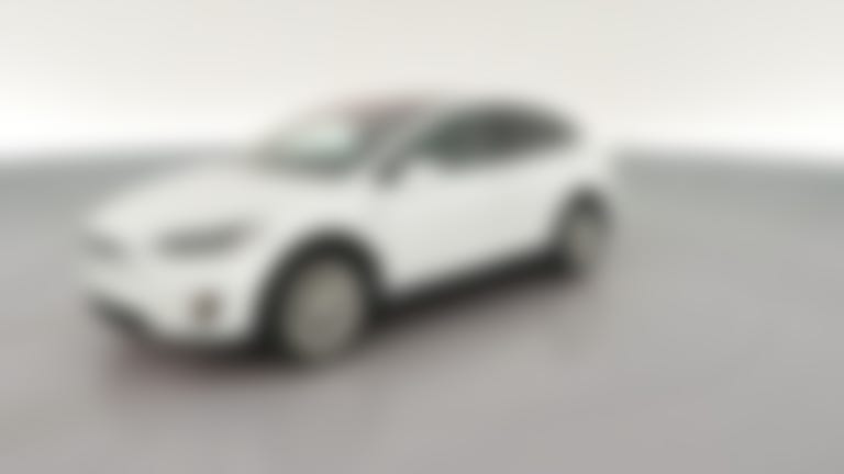 2020 Tesla Model X vehicle photo