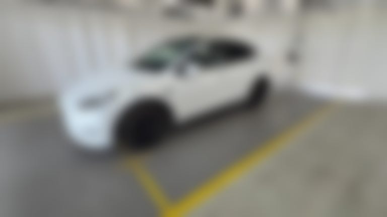 2023 Tesla Model Y vehicle photo