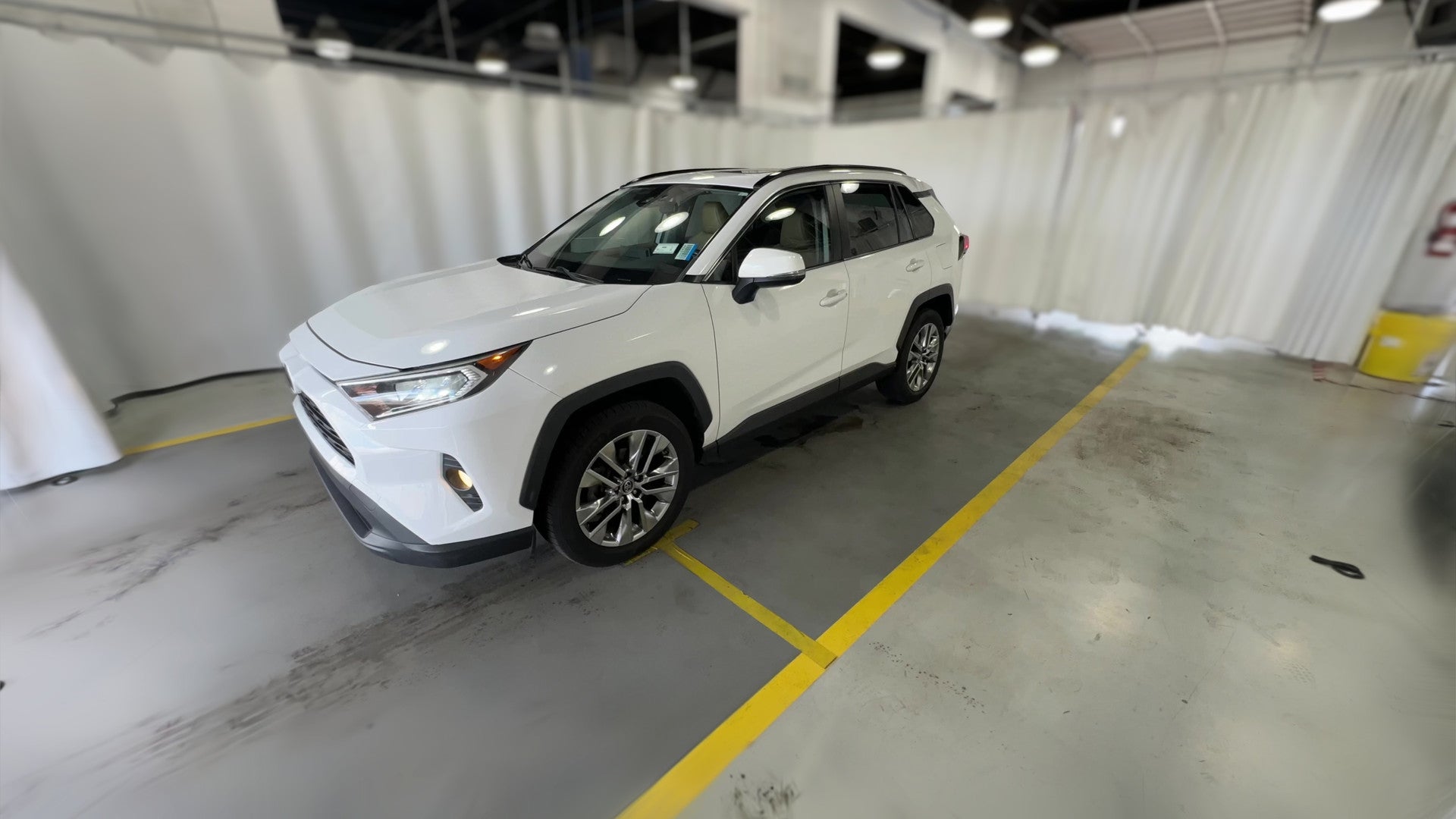 2019 Toyota RAV4 vehicle photo