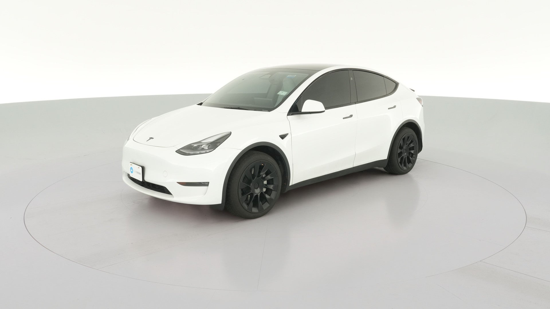 2023 Tesla Model Y vehicle photo
