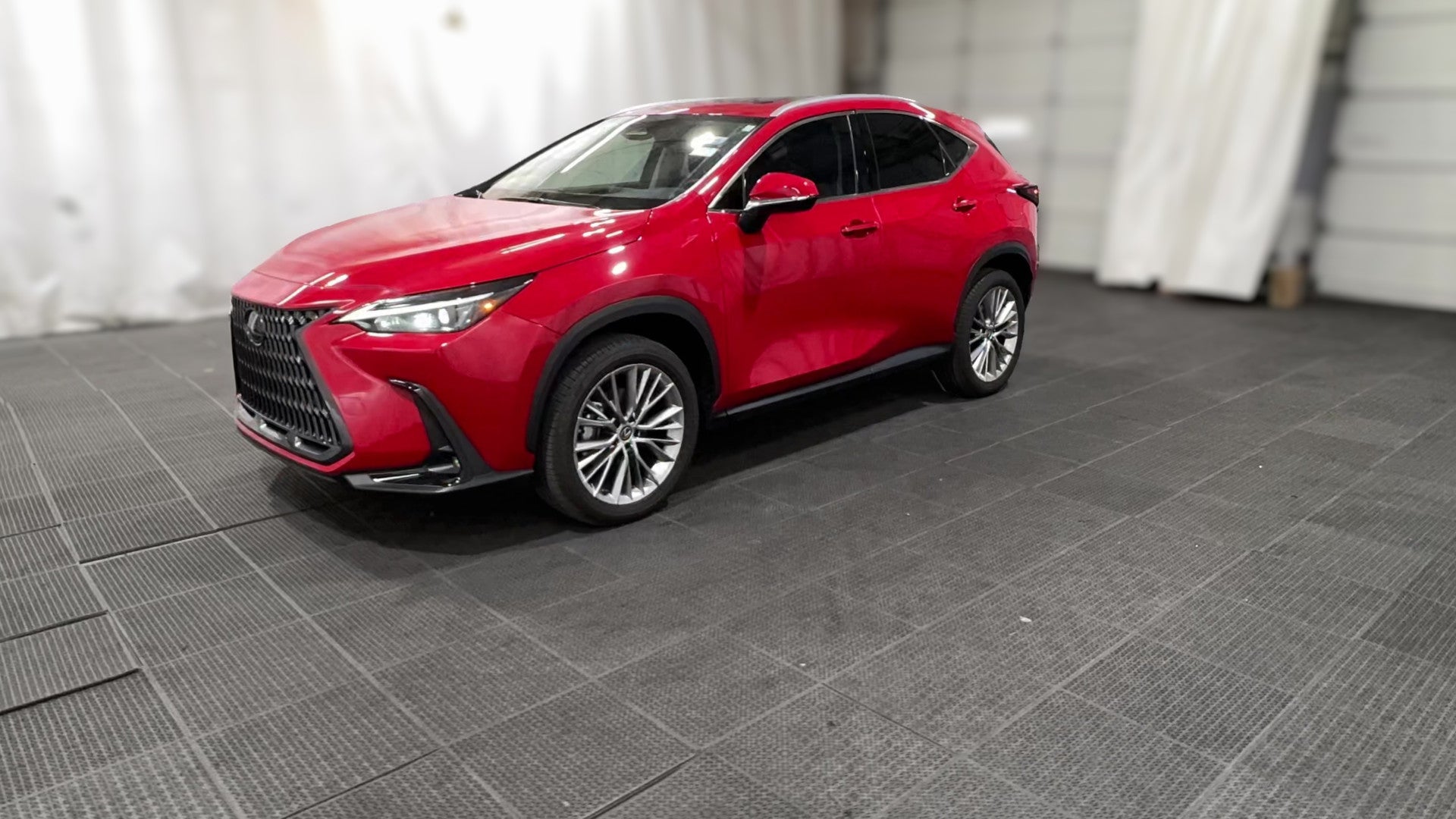 2025 Lexus NX vehicle photo