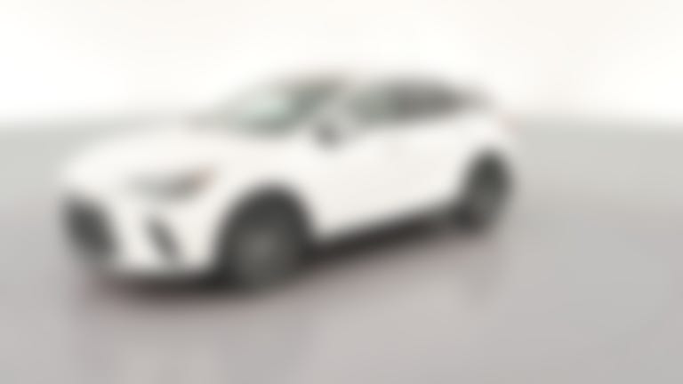 2023 Lexus RX vehicle photo