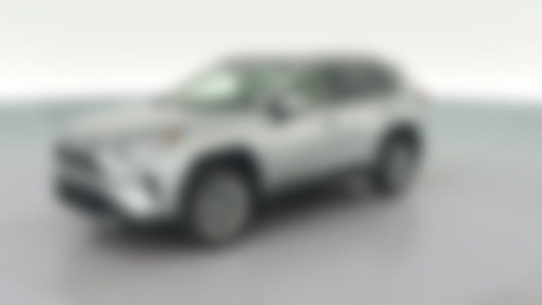 2019 Toyota RAV4 vehicle photo