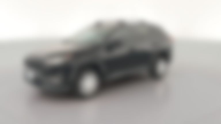2020 Toyota RAV4 vehicle photo