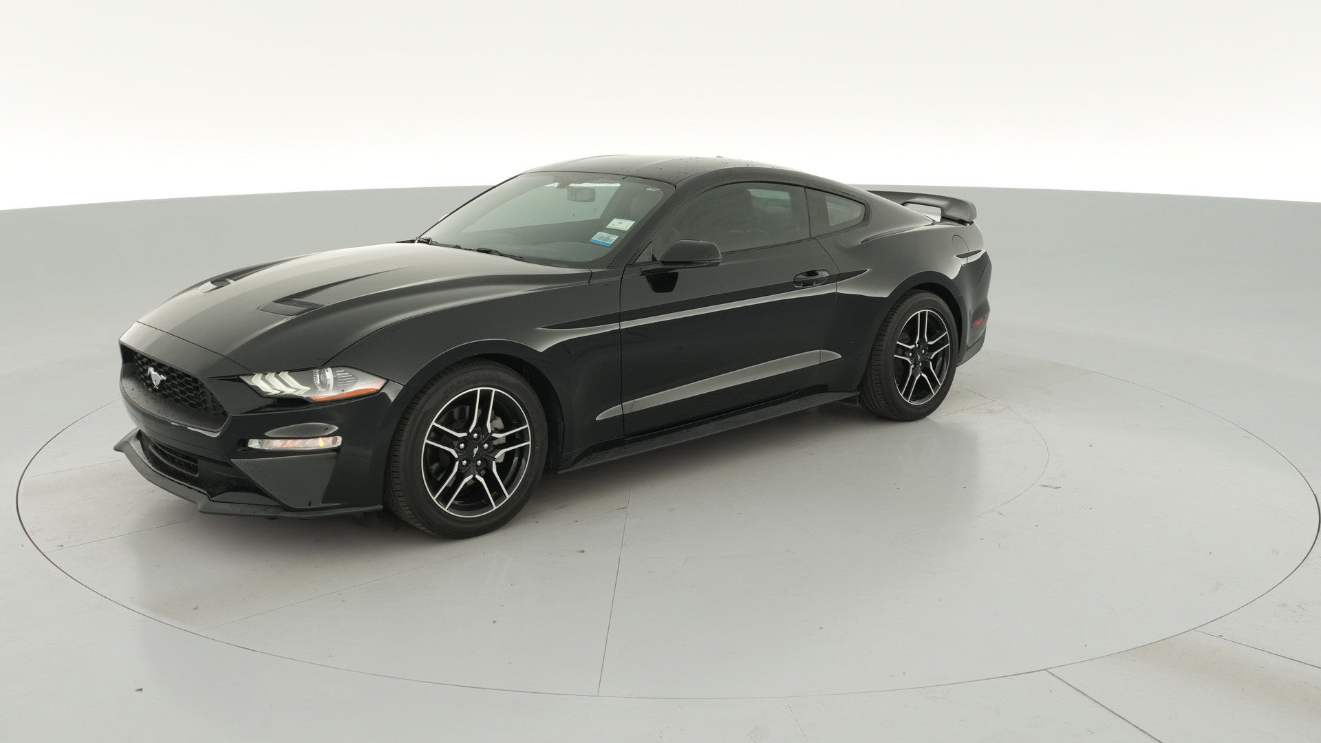 2019 Ford Mustang vehicle photo