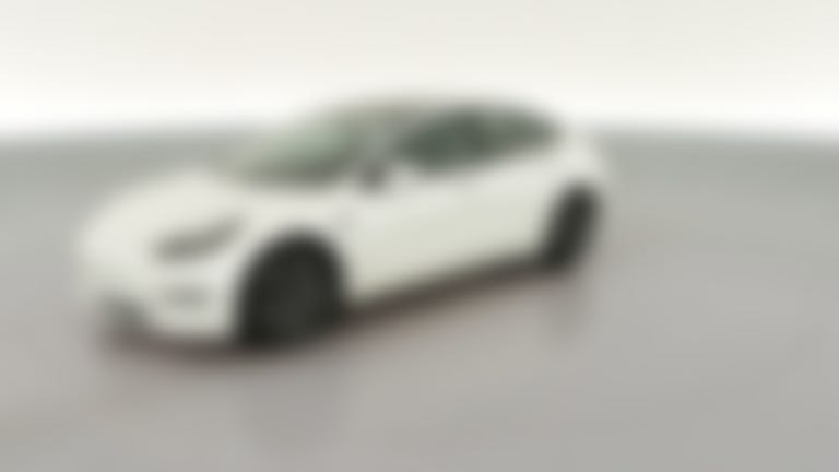 2021 Tesla Model 3 vehicle photo