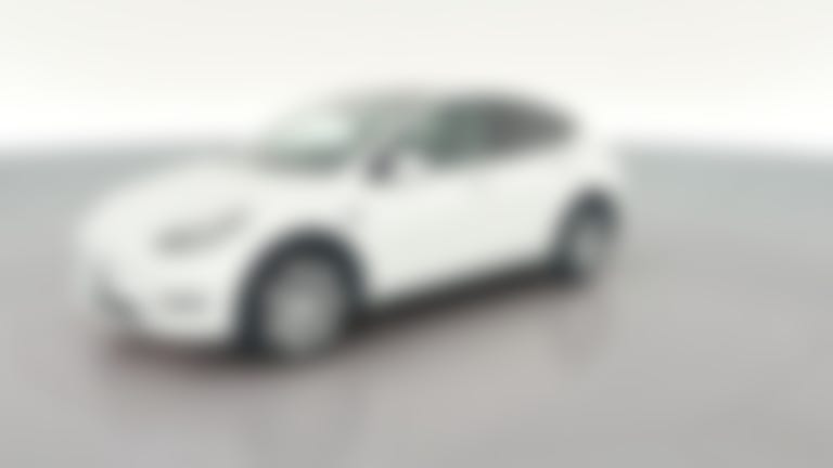 2023 Tesla Model Y vehicle photo