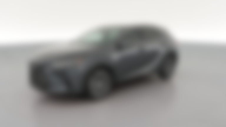2025 Lexus RX vehicle photo