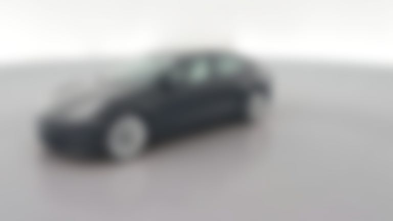 2021 Tesla Model 3 vehicle photo