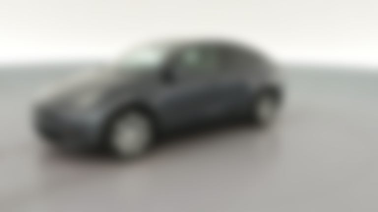 2021 Tesla Model Y vehicle photo
