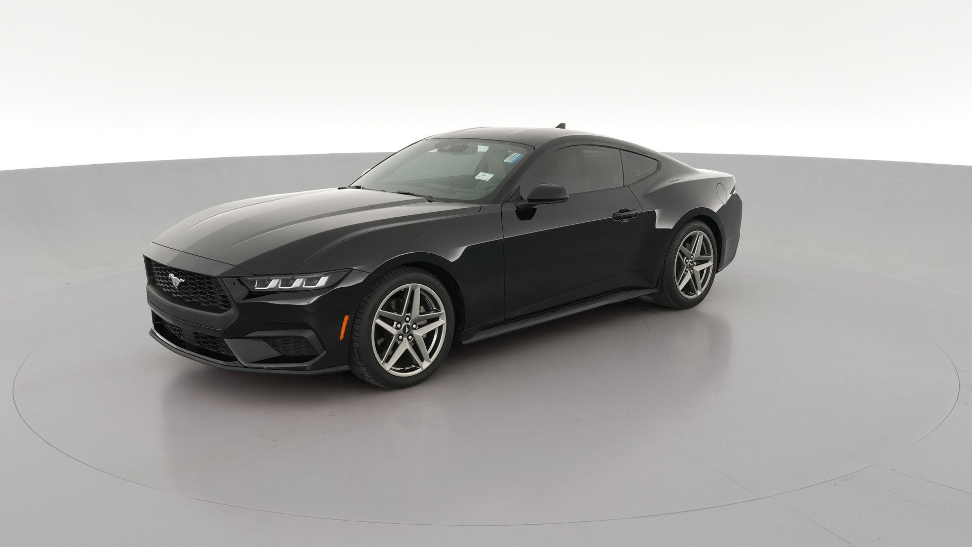 2024 Ford Mustang vehicle photo
