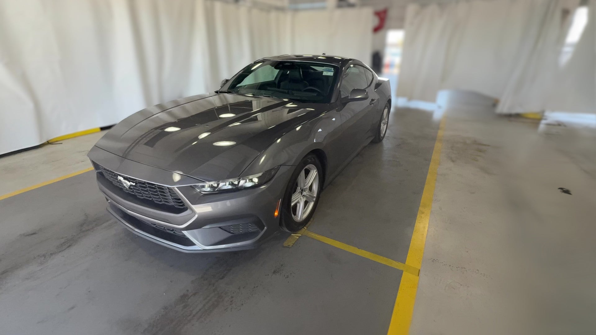 2026 Ford Mustang vehicle photo